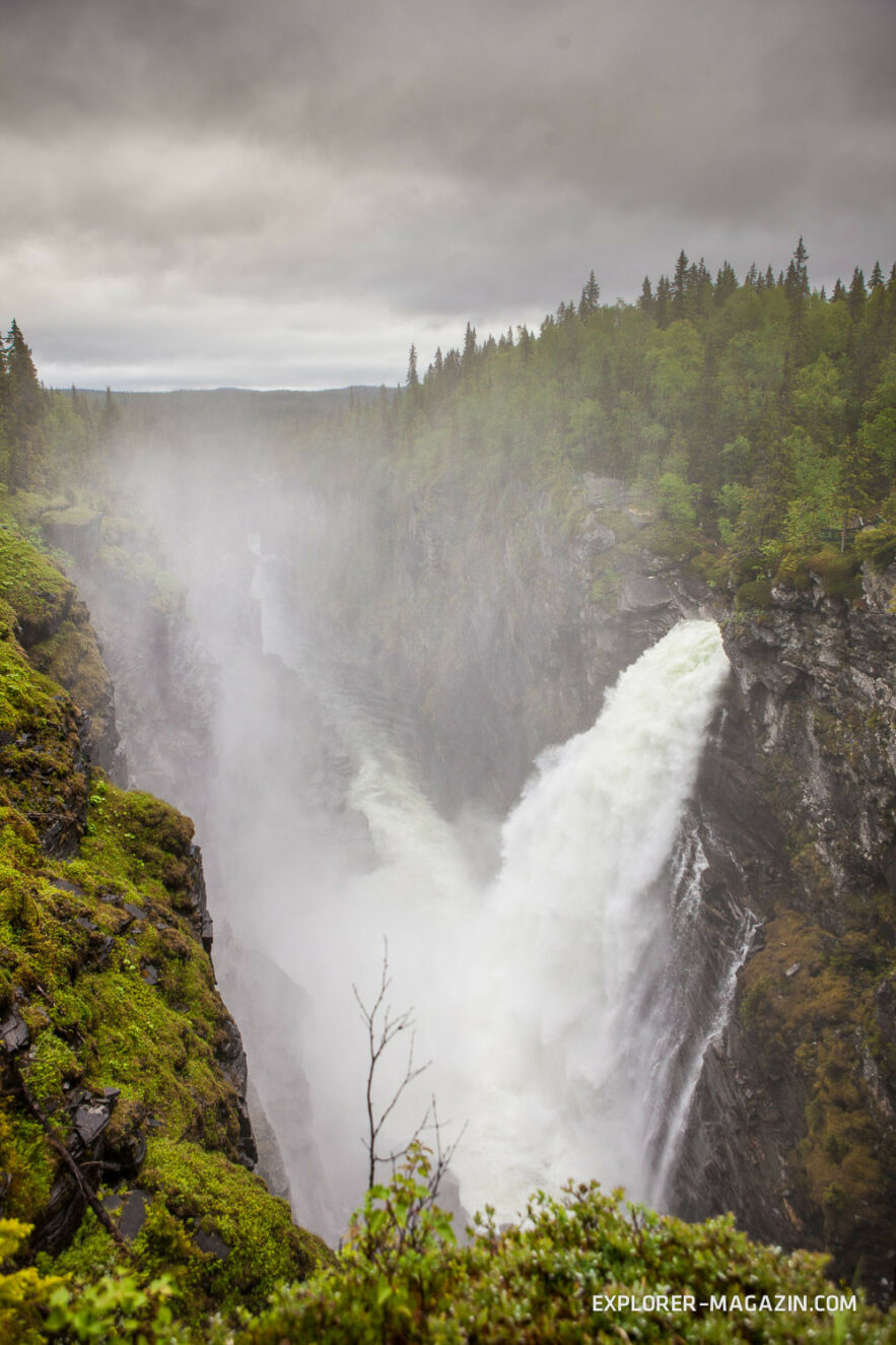  Lappland – eine Sommerliebe - explorer Magazin 