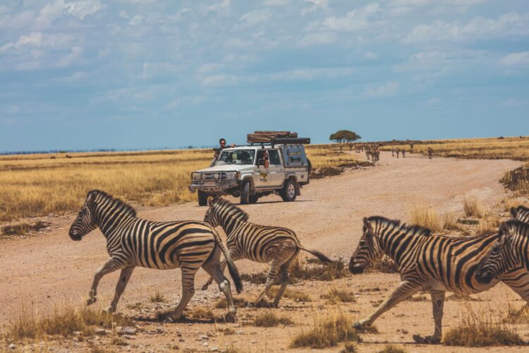 transafrika routen und tipps