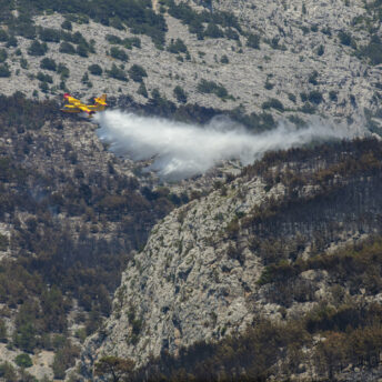 Ein Löschflugzeug kämpft gegen Flammen in einem Waldgebiet